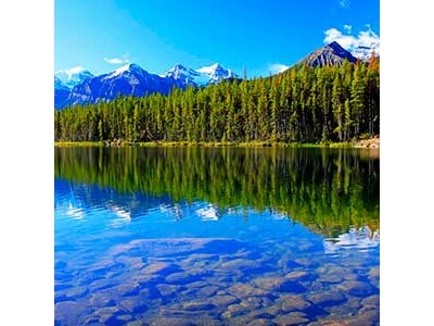 Какие сети лучше купить : одностенные или трехстенные  