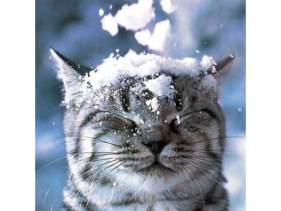 Костюм для зимней рыбалки и охоты - Что нужно знать?