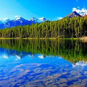 Які сітки краще купити: одностінні або тристінні